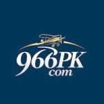 966pk feature image
