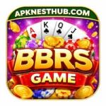 BBRS Game