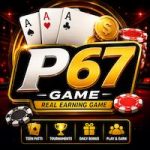 p67 feature image